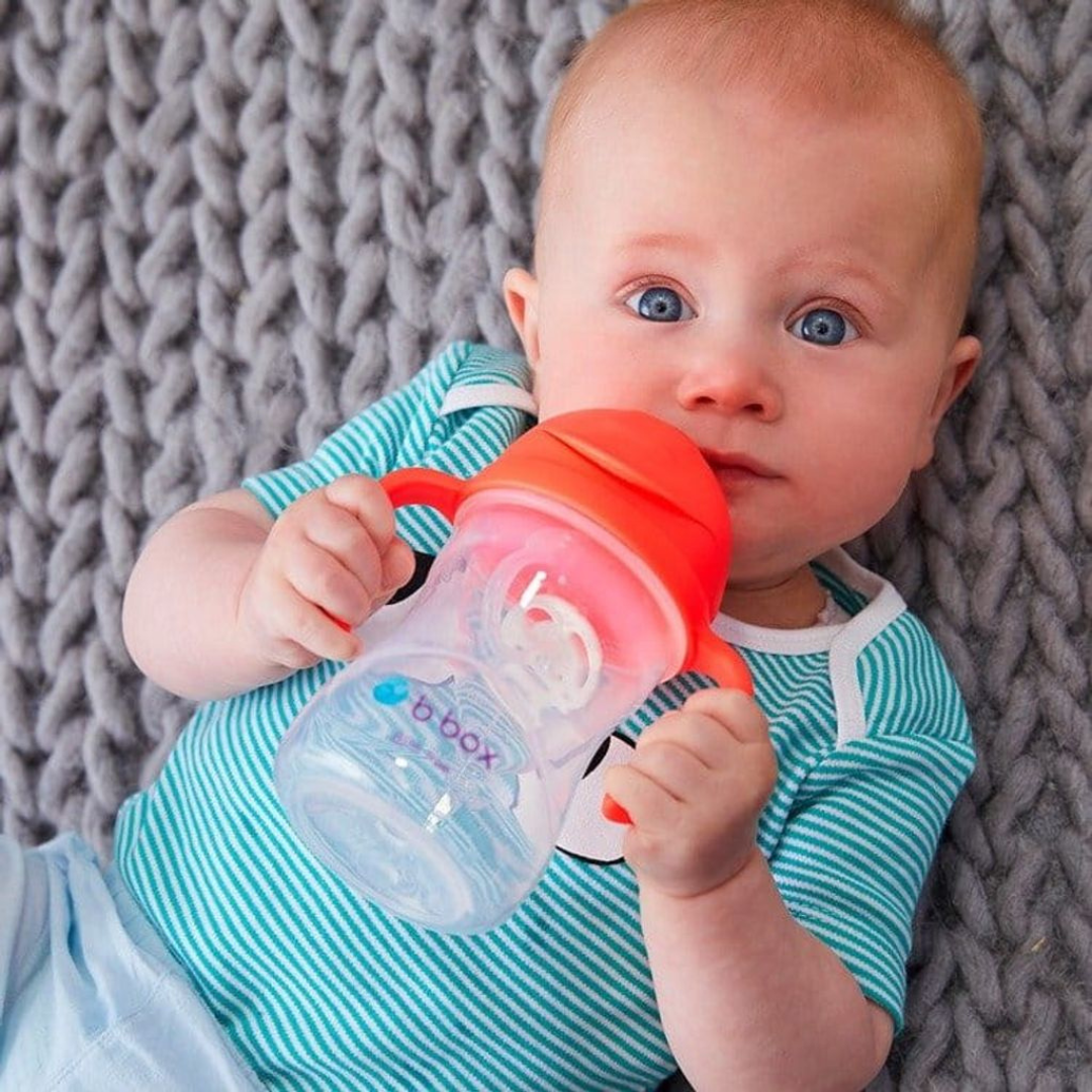Vaso Sippy - Watermelon | b.box