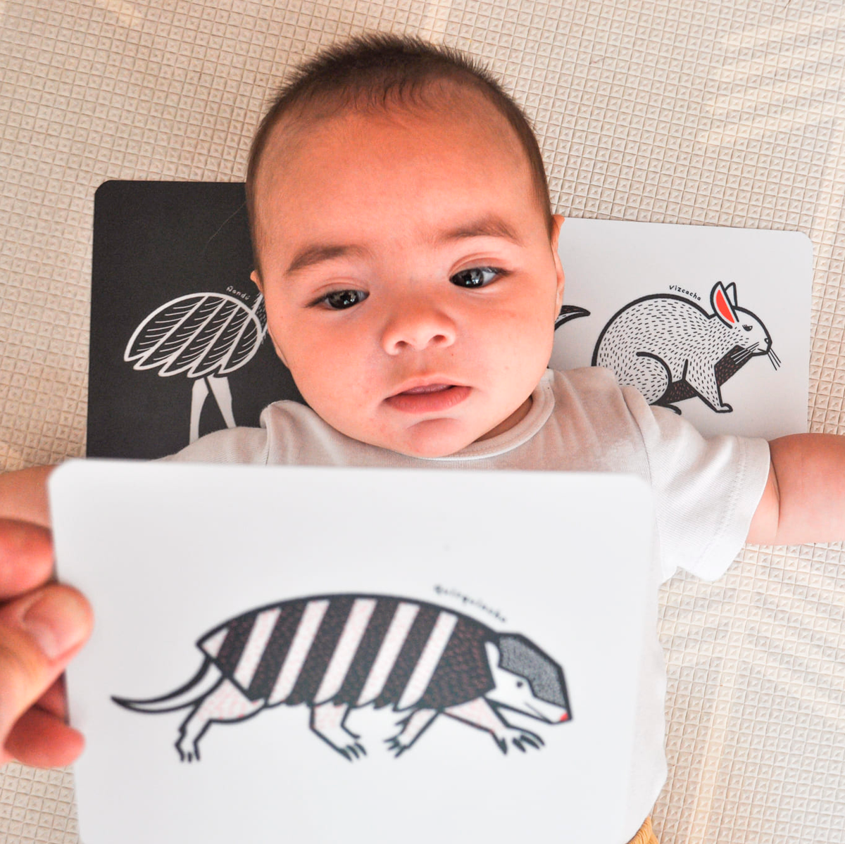 Set de Tarjetas para Bebés - Contrastes | Fafa & Mamo