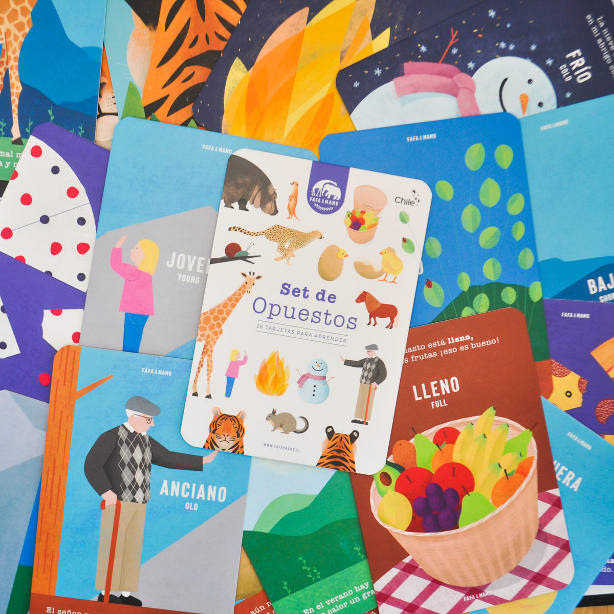 Set of Educational Cards - Opposites