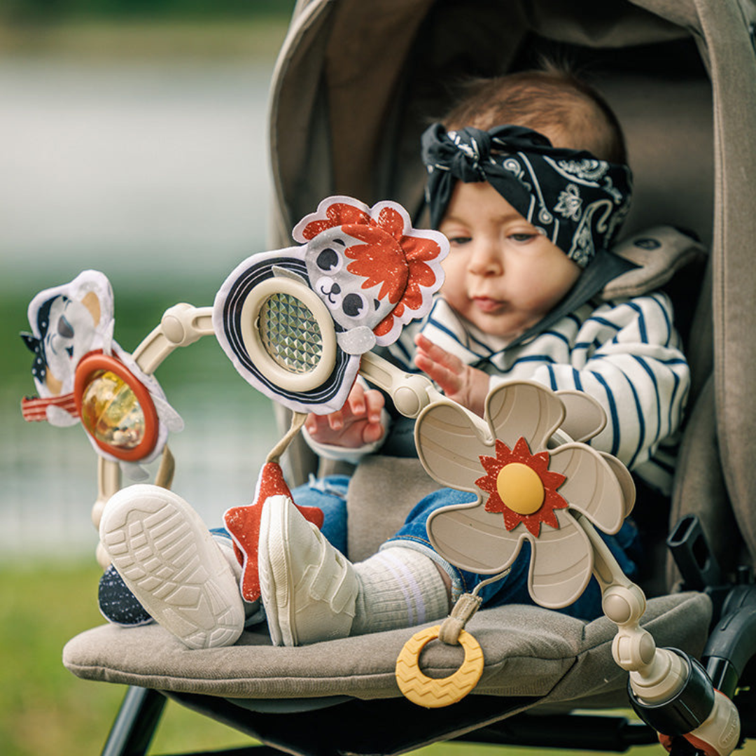 Arco para Coches Tiny Rockers | Tiny Love