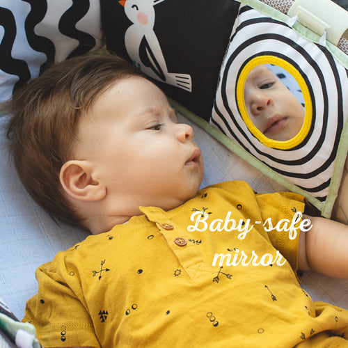 Libro Koala Clip on Pram | Taf Toys