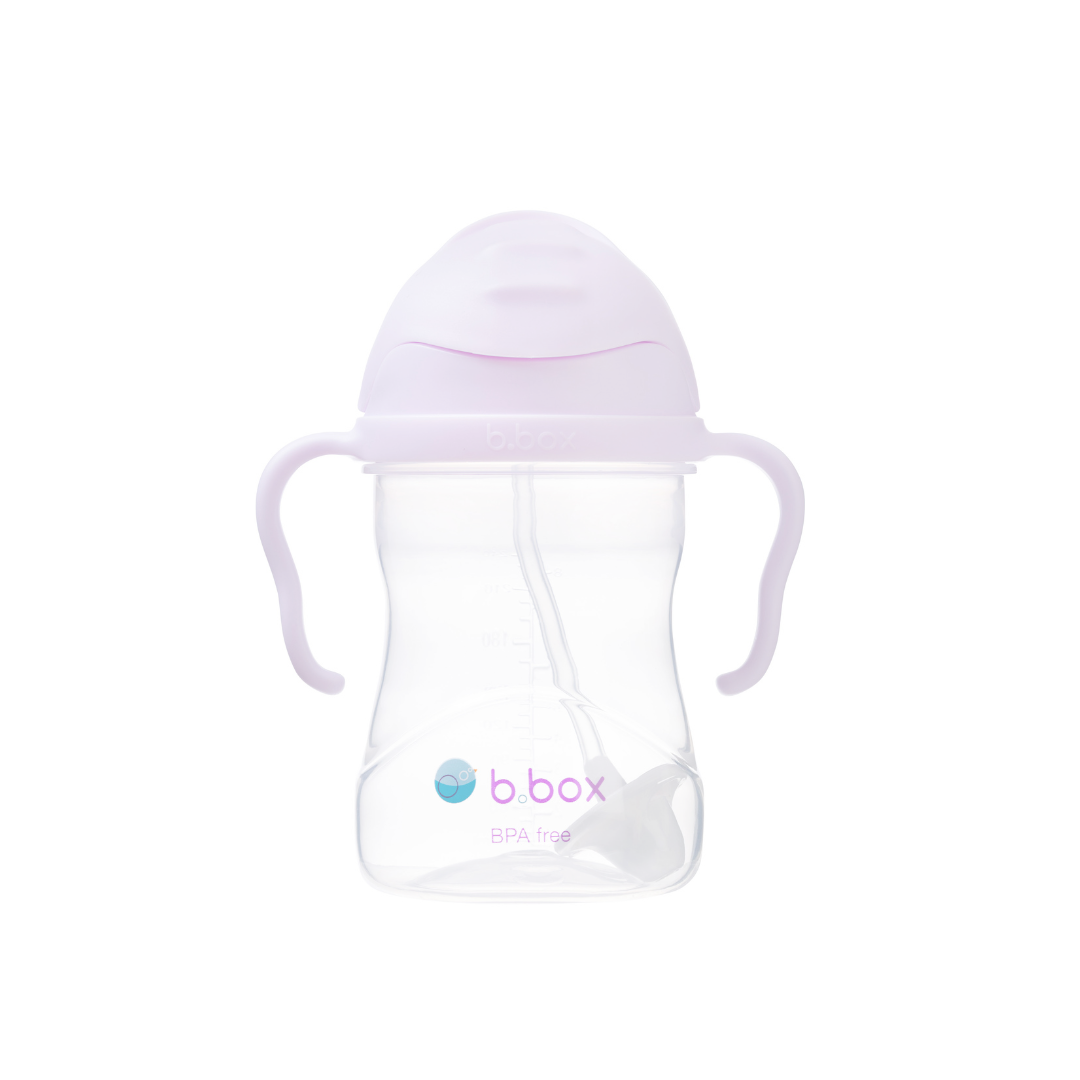 Vaso Sippy - Boysenberry | b.box