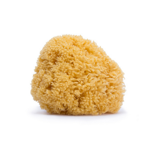 Esponja Natural | Suavinex