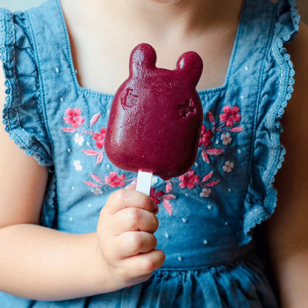 Set de 6 Paletas para Helado | We Might Be Tiny