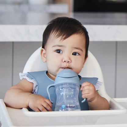 Sippy Cup - Boysenberry