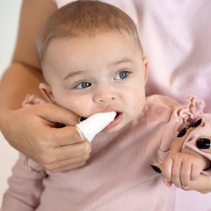 Toallitas Biodegradables para Encías (28 unidades) | Brush Baby