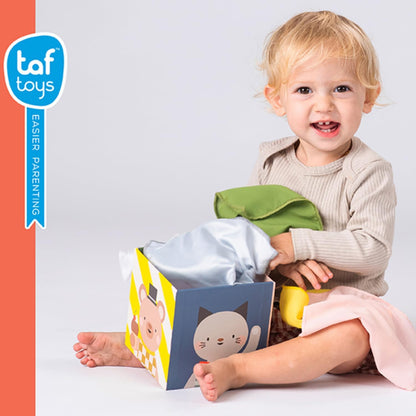 Cubo Juega  y Descubre | Taf Toys