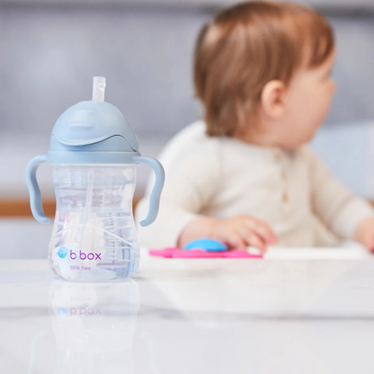 Sippy Cup - Boysenberry