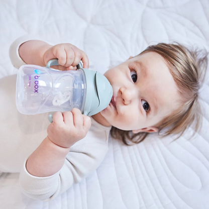 Sippy Cup - Boysenberry
