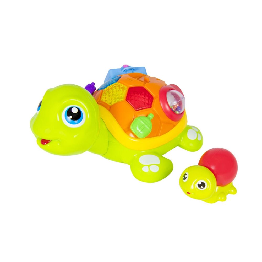 Tortuga Interactiva | Hola Toys