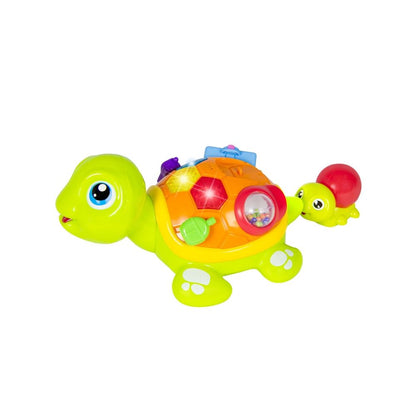 Tortuga Interactiva | Hola Toys