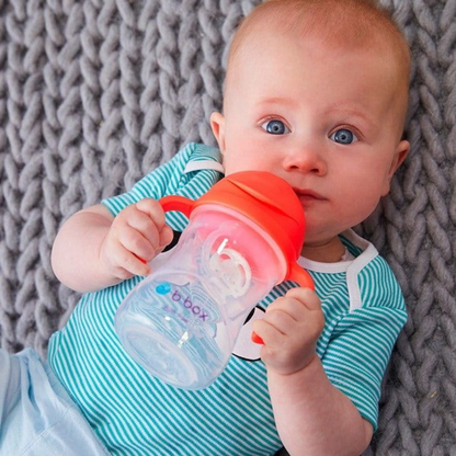 Vaso Sippy - Watermelon | b.box