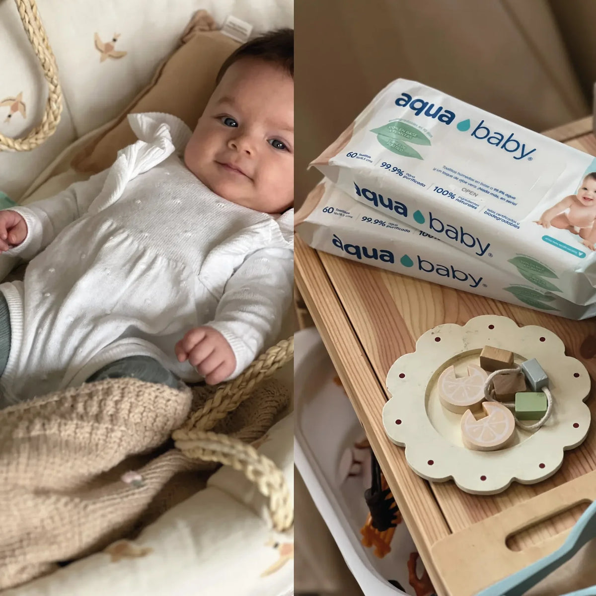 Toallitas Húmedas Biodegradables - Caja de 12 Paquetes de 60 Toallitas | Aqua Baby