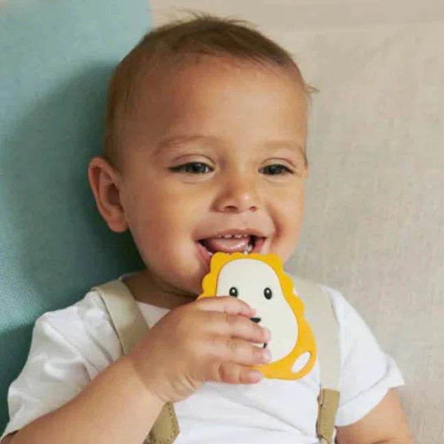 Mordedor Plano León | Matchstick Monkey