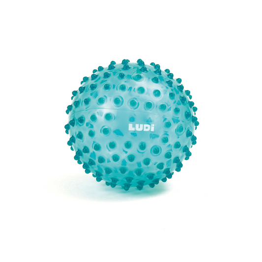 Pelota Sensorial - Azul | Ludi