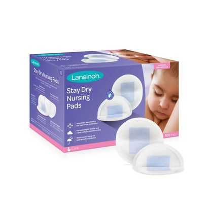 Absorbentes de Leche Stay Dry | Lansinoh