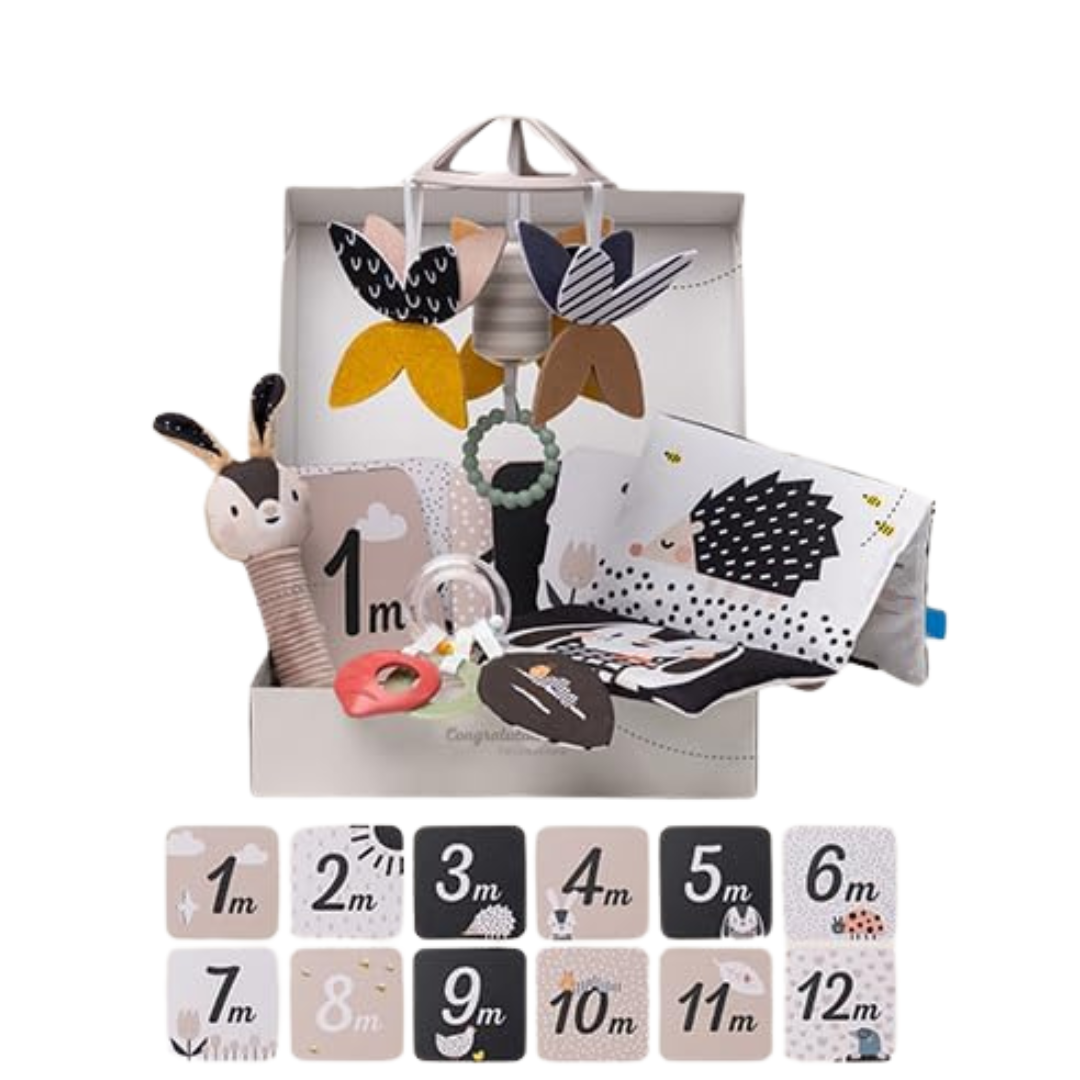 Kit para Recién Nacidos - Blanco y Negro | Taf Toys