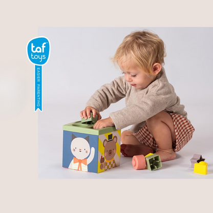 Cubo Juega  y Descubre | Taf Toys
