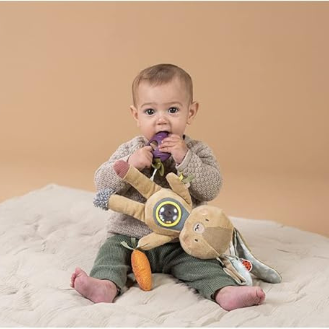 Juguete de Actividades - Jenny | Taf Toys