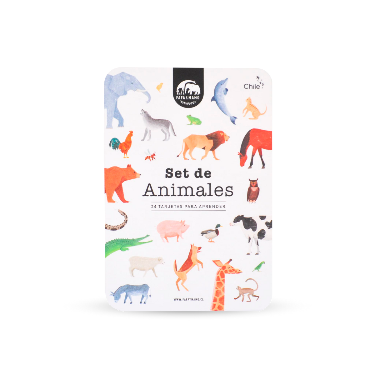 Set of Educational Cards - Animals