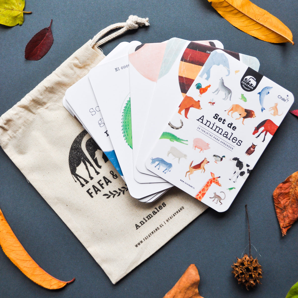Set of Educational Cards - Animals