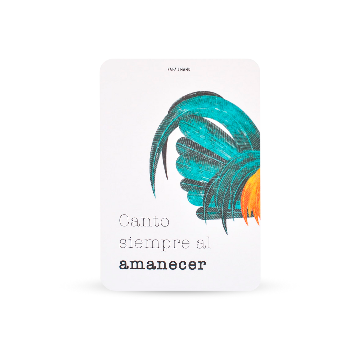 Set of Educational Cards - Animals