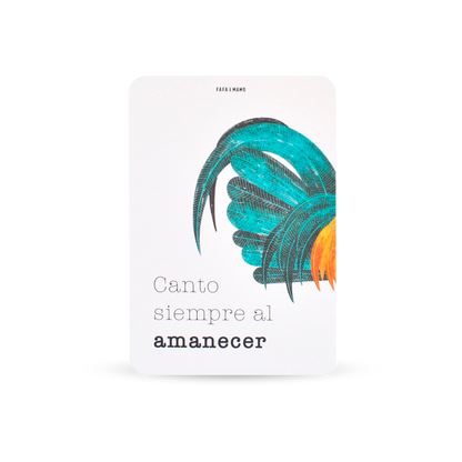 Set of Educational Cards - Animals