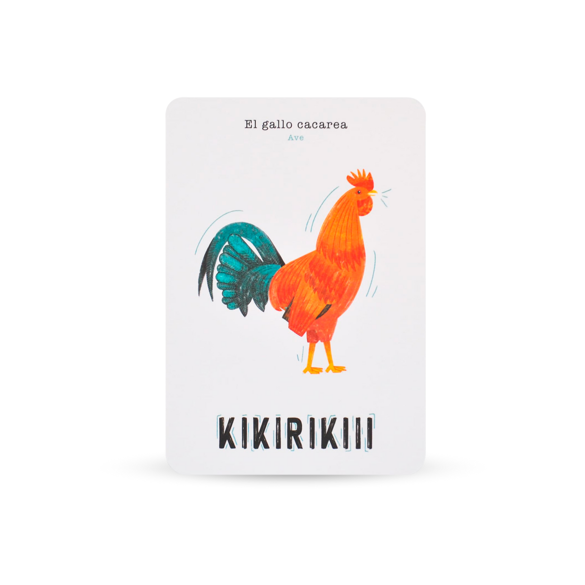 Set of Educational Cards - Animals