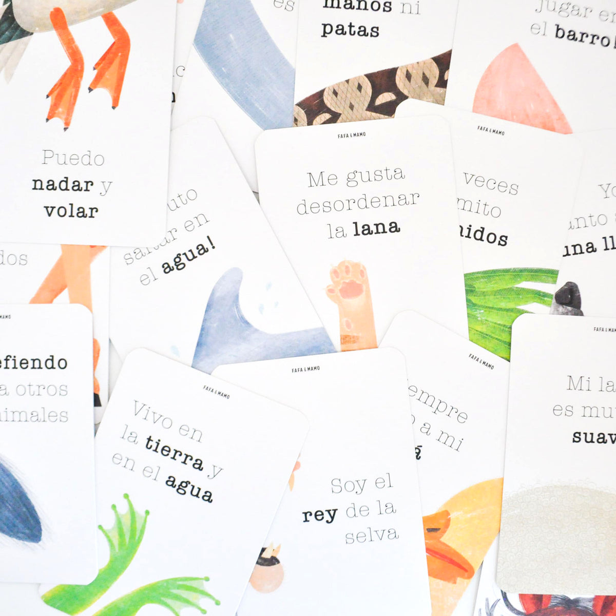 Set of Educational Cards - Animals