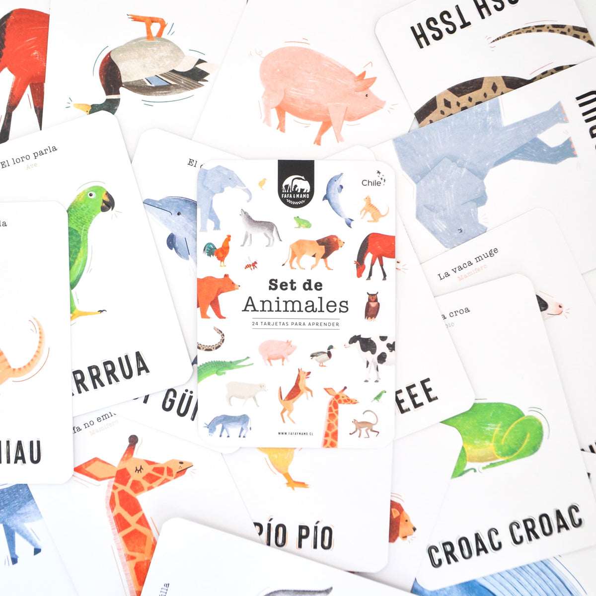 Set of Educational Cards - Animals