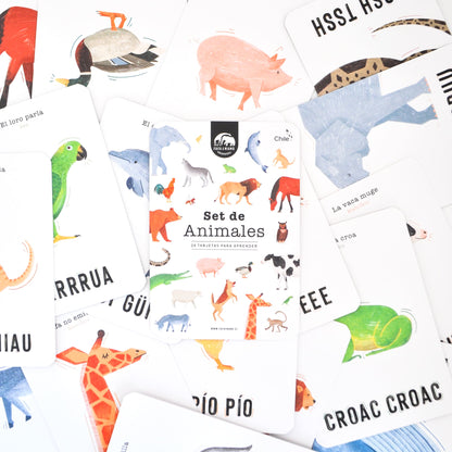 Set of Educational Cards - Animals