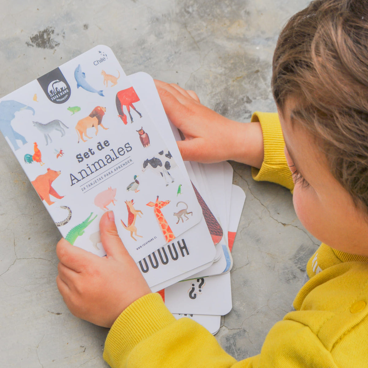 Set of Educational Cards - Animals