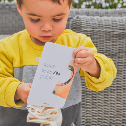 Set of Educational Cards - Animals