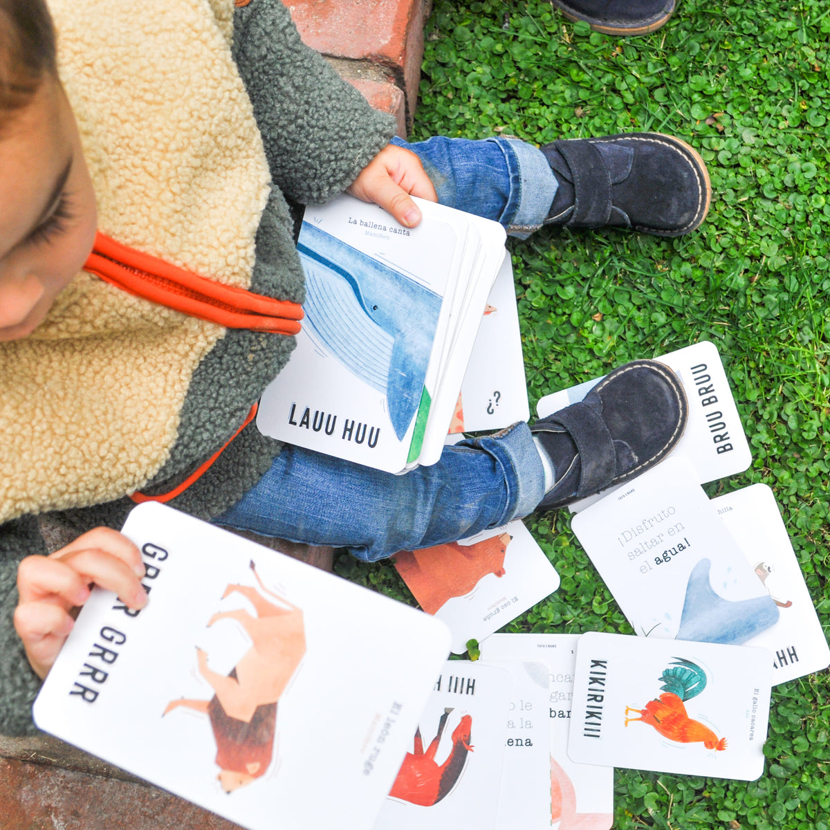 Set of Educational Cards - Animals