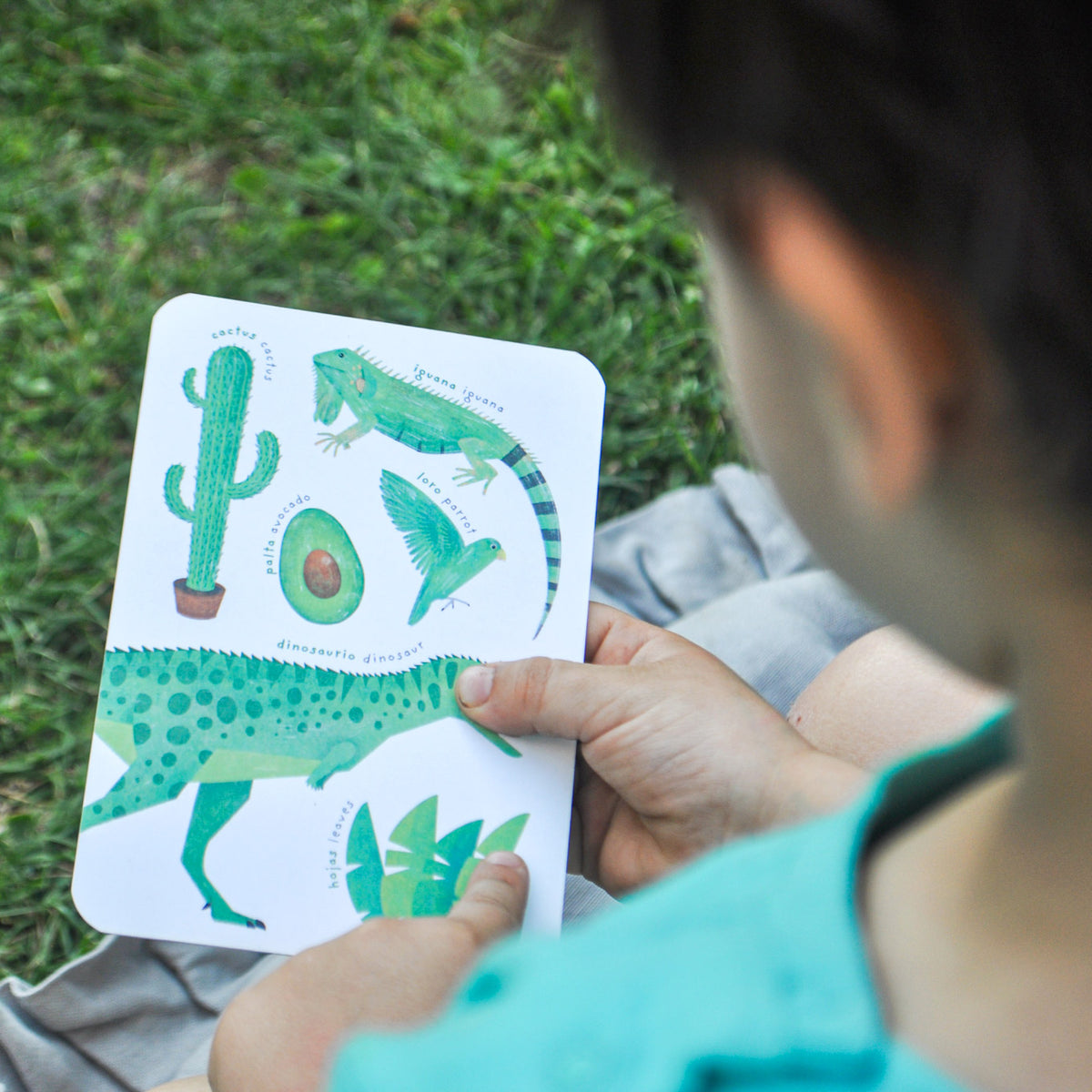 Set de Tarjetas Educativas - Colores y Formas | Fafa & Mamo
