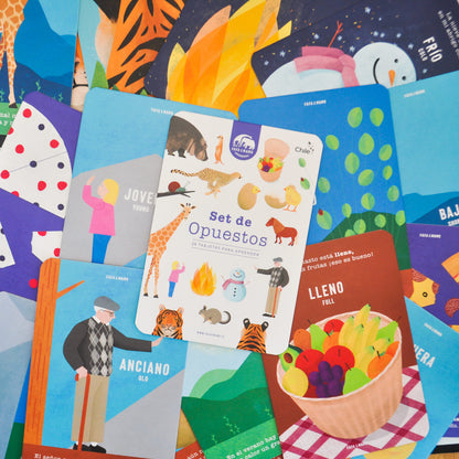 Set of Educational Cards - Opposites