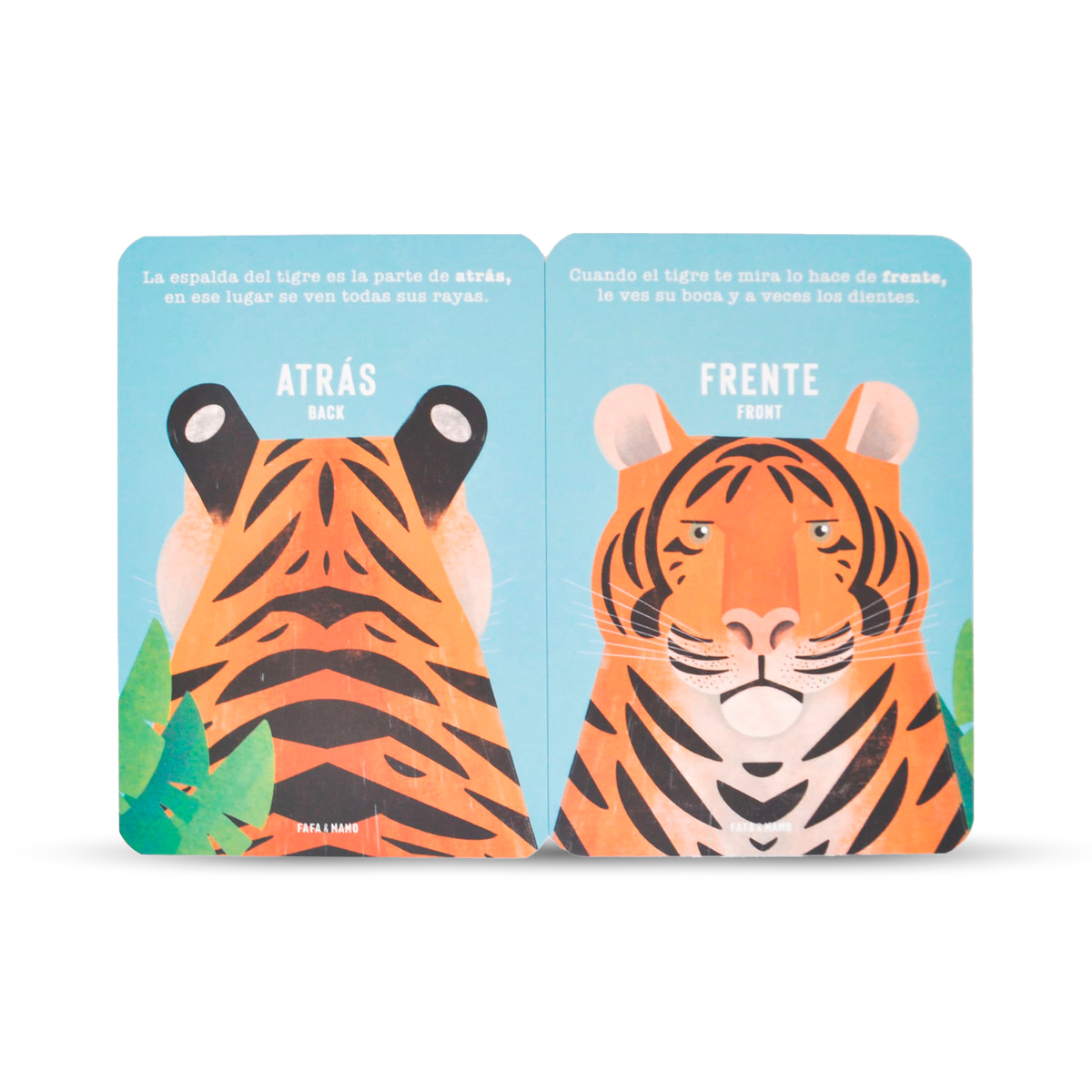 Set of Educational Cards - Opposites