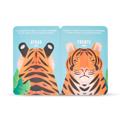 Set of Educational Cards - Opposites