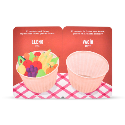 Set of Educational Cards - Opposites
