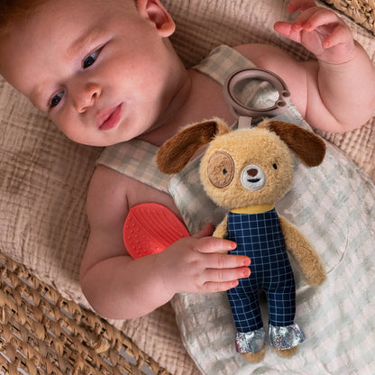 Peluche de Actividad Con Sonajero - Daniel | Taf Toys