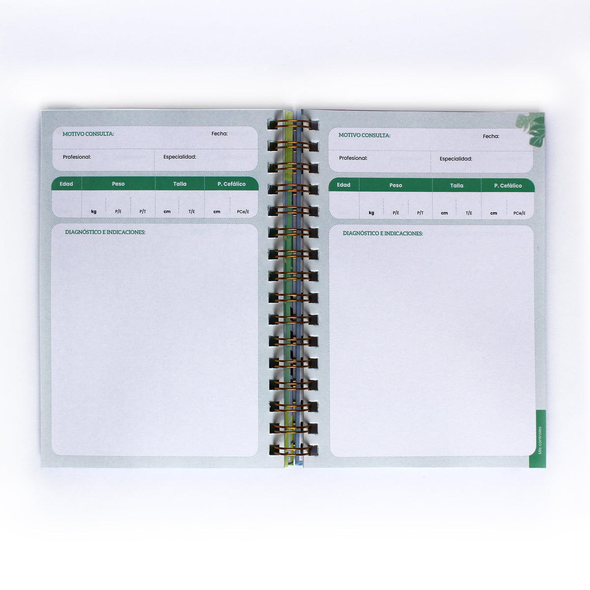 Cuaderno de Salud - Dinosaurios - 2da Edición | Mundo de Papel
