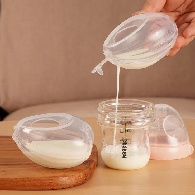 Shell Recolectora de Leche Materna | haakaa