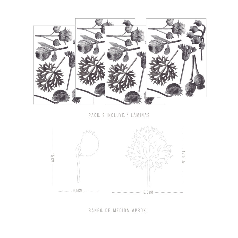 Stickers Decorativos Para Muros - Proteas | Murami
