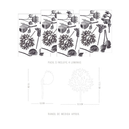 Stickers Decorativos Para Muros - Proteas | Murami
