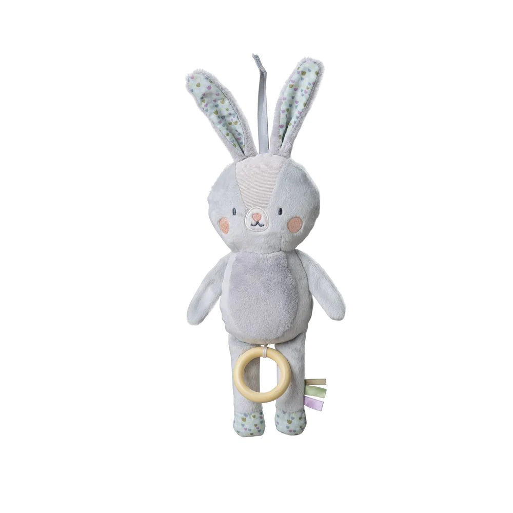 Conejo Musical Rylee | Taf Toys