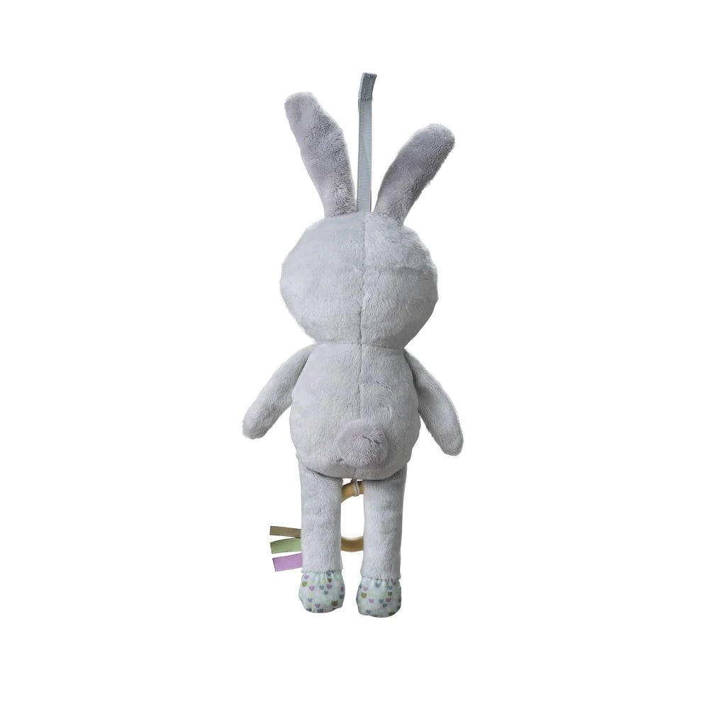 Conejo Musical Rylee | Taf Toys