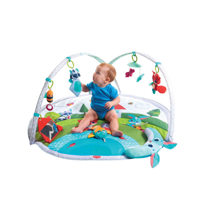 Gimnasio Dynamic Gymini | Tiny Love