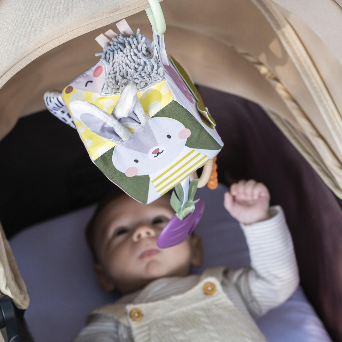 Garden Activity Cube