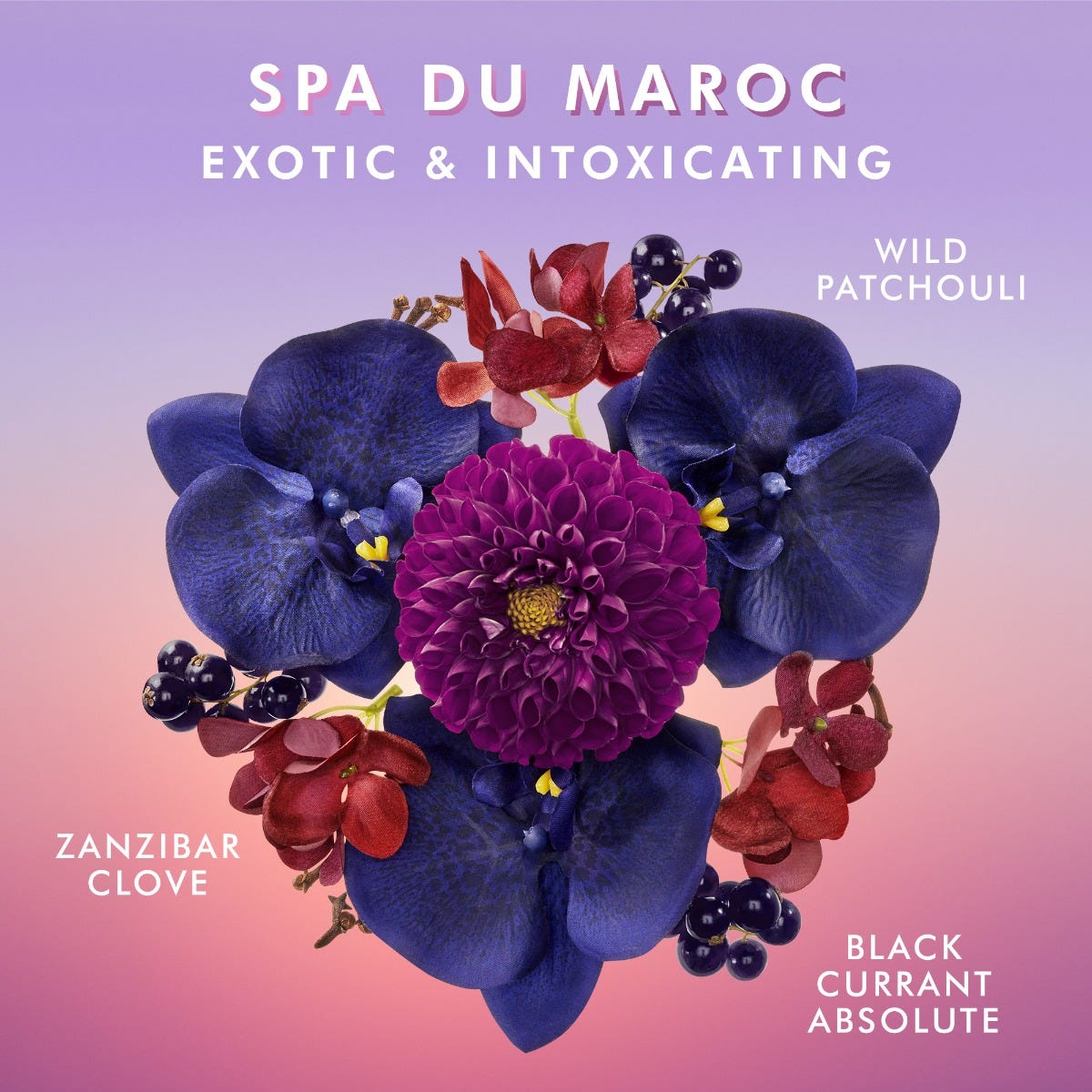 MOROCCANOIL Moroccan Spa Body Duo
