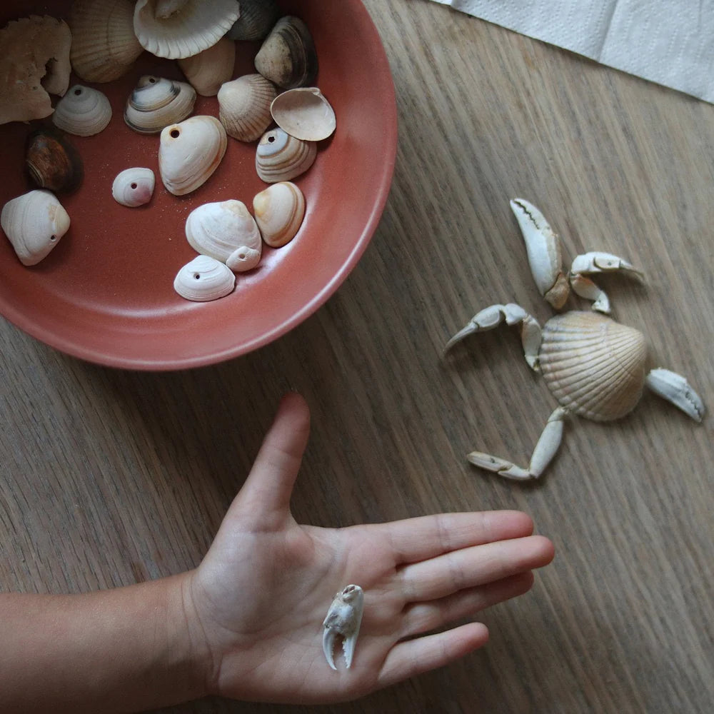 Bowl Bambino - Terracota | Ekobo